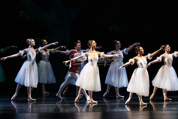 Ballet NTX Sleeping Beauty pc Sharen Bradford-1530