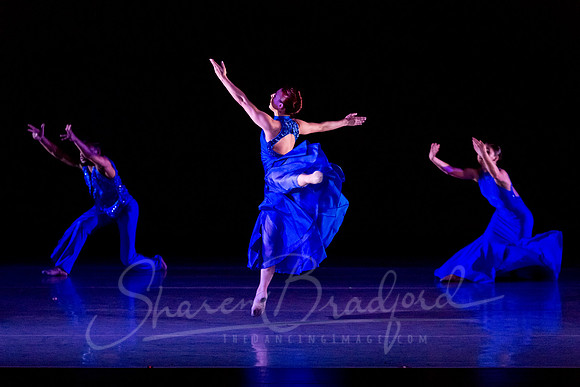 Following Echoes - pc Sharen Bradford-3237