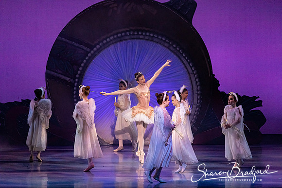 Nutcracker Suite pc Sharen Bradford-0027