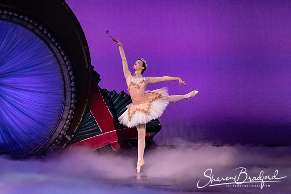 Nutcracker Suite pc Sharen Bradford-0039