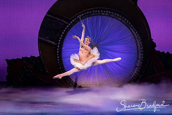Nutcracker Suite pc Sharen Bradford-0040
