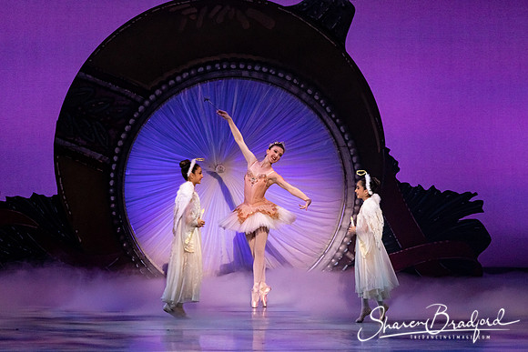Nutcracker Suite pc Sharen Bradford-0048