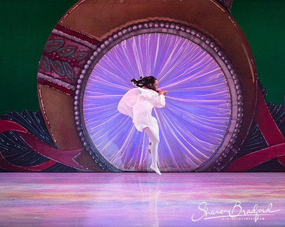Nutcracker Suite pc Sharen Bradford-0093