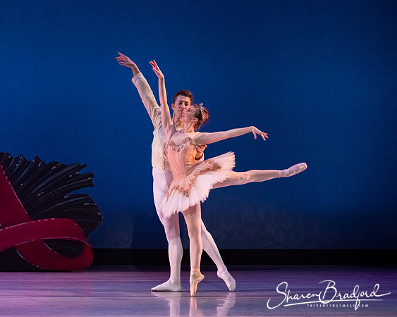 Nutcracker Suite pc Sharen Bradford-0102
