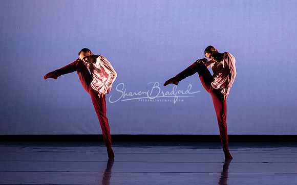 begin again pc Sharen Bradford-0430