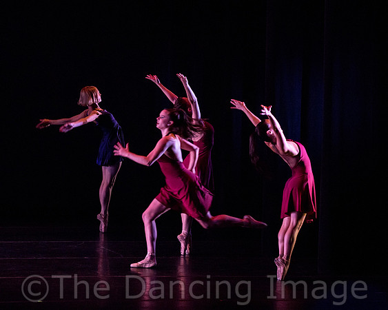 Contemporary Ballet Dallas-4971