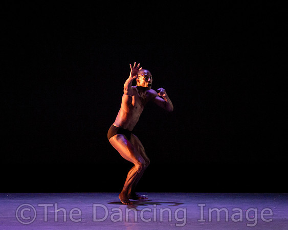 Alvin Ailey ADT-2328