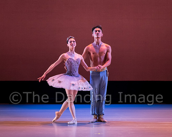 Le Corsaire-3138