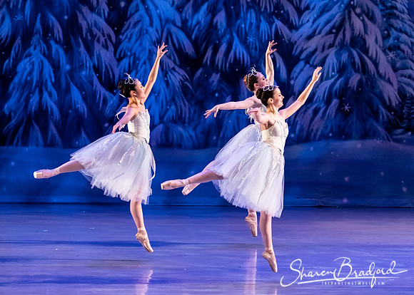 CCBT Nutcracker 19 pc Sharen Bradford-4940
