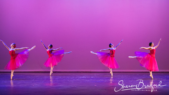 Waltz of the Flowers pc Sharen Bradford-2741
