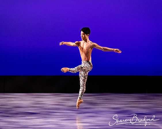 Ballet 37 pc Sharen Bradford-0458
