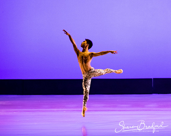 Ballet 37 pc Sharen Bradford-0323