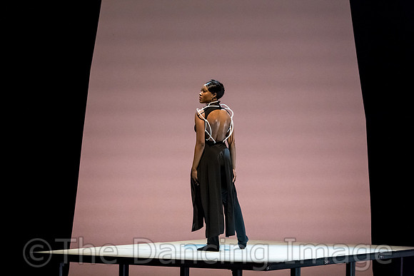Uncharted Territory - pc Sharen Bradford-3559