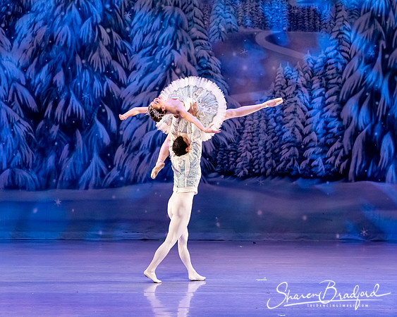 CCBT Nutcracker 19 pc Sharen Bradford-4854