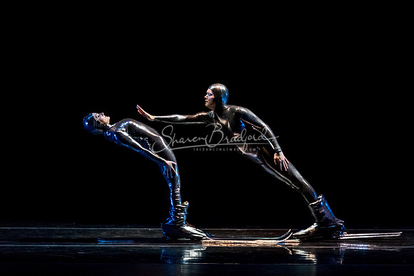 Millennium Skiva pc Sharen Bradford-8532