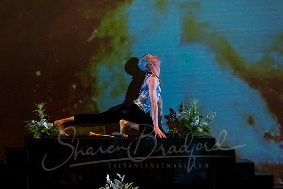 Afternoon of a Faun - pc Sharen Bradford-0804
