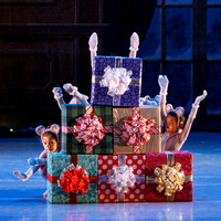 CPA Nutcracker 11-26-23 pc Sharen Bradford-6813