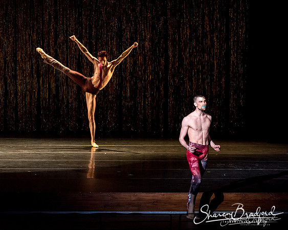 Stardust-pc Sharen Bradford-1020