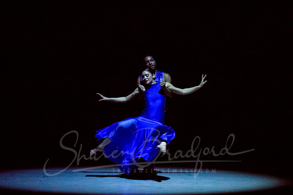 Following Echoes - pc Sharen Bradford-3481
