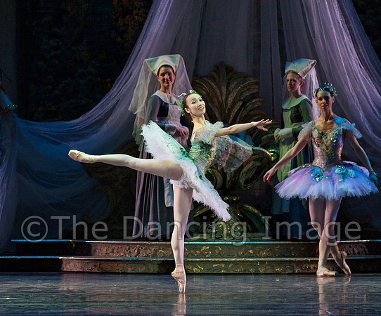 TB Sleeping Beauty Wed.-0022