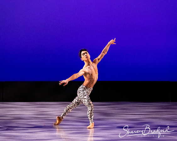 Ballet 37 pc Sharen Bradford-0459