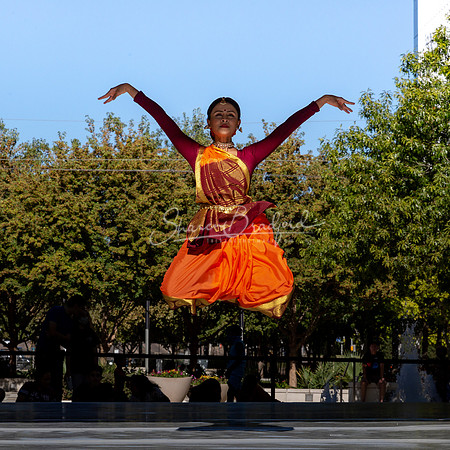 Indique Dance pc Sharen Bradford-1594