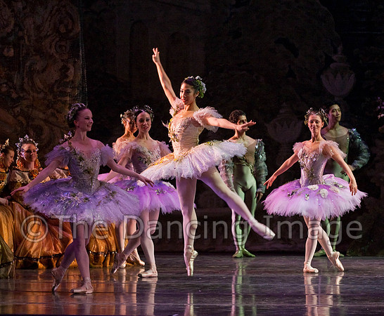 TB Sleeping Beauty Wed.-0112-2