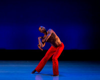Alvin Ailey ADT-0033