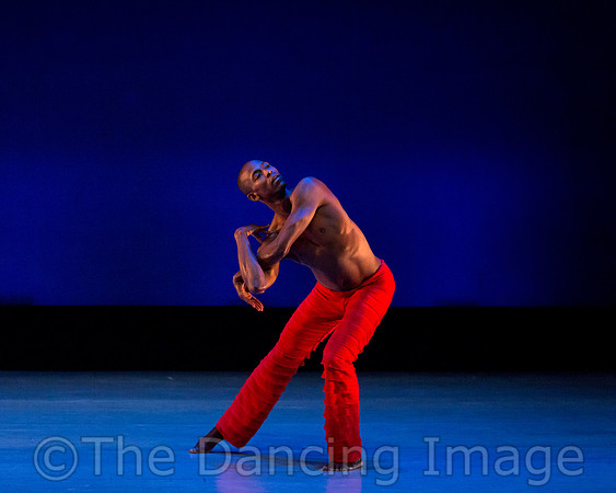 Alvin Ailey ADT-0033