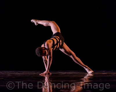 Growth_Albert Drake-2393