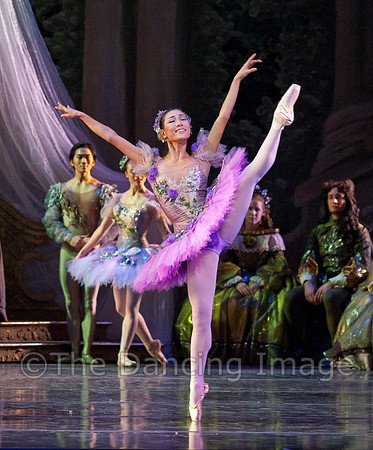 TB Sleeping Beauty Wed.-0067