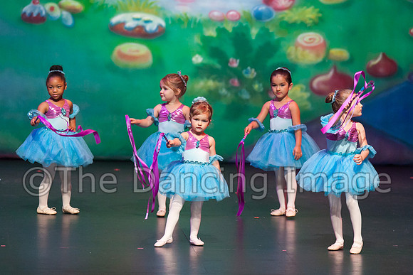 IMG_0810