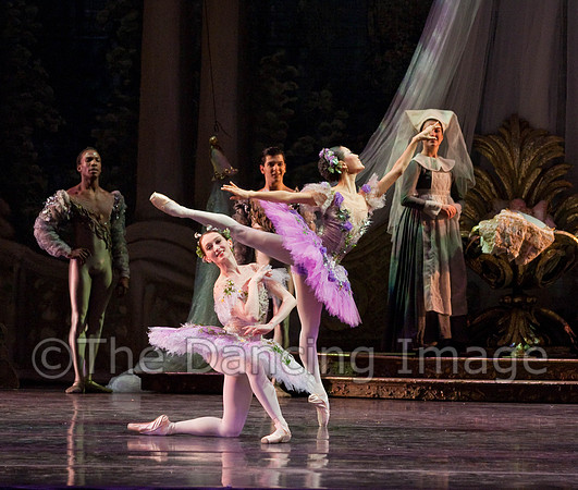 TB Sleeping Beauty Wed.-0119