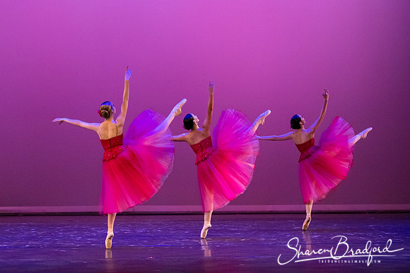 Waltz of the Flowers pc Sharen Bradford-2859