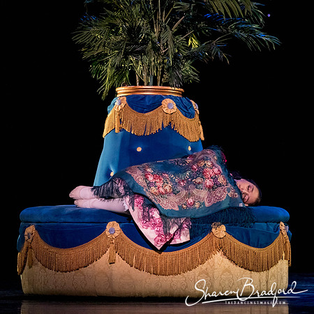Nutcracker dress pc Sharen Bradford-3064