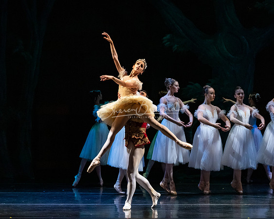 Ballet NTX Sleeping Beauty pc Sharen Bradford-1377