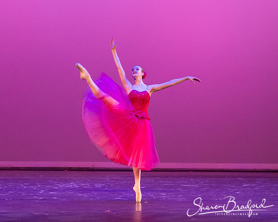 Waltz of the Flowers pc Sharen Bradford-2750