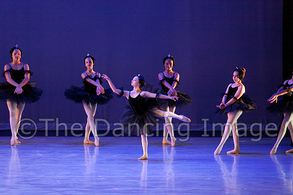 The Black Swans-3402