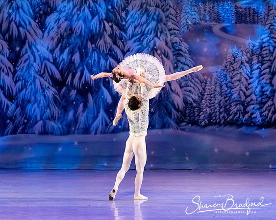 CCBT Nutcracker 19 pc Sharen Bradford-4853