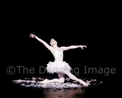 Dying Swan-0559