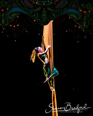 Nutcracker eve pc Sharen Bradford-7052