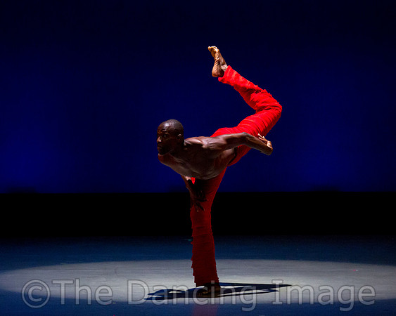 Alvin Ailey ADT-0097