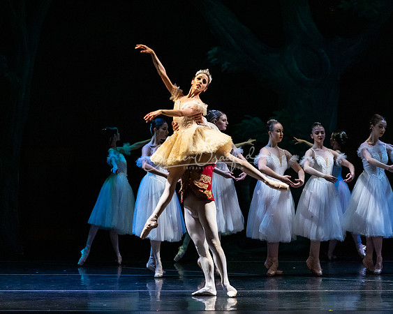 Ballet NTX Sleeping Beauty pc Sharen Bradford-1376