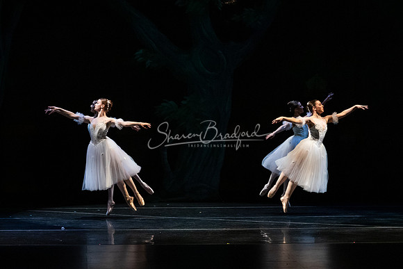 Ballet NTX Sleeping Beauty pc Sharen Bradford-1395