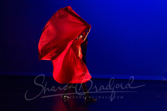 Bajo la Tormenta pc Sharen Bradford-0175