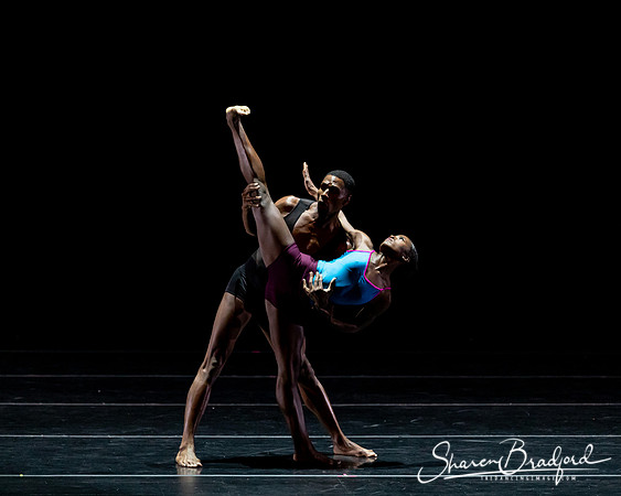 DBDT Execution of a Sentiment pc Sharen Bradford-0891