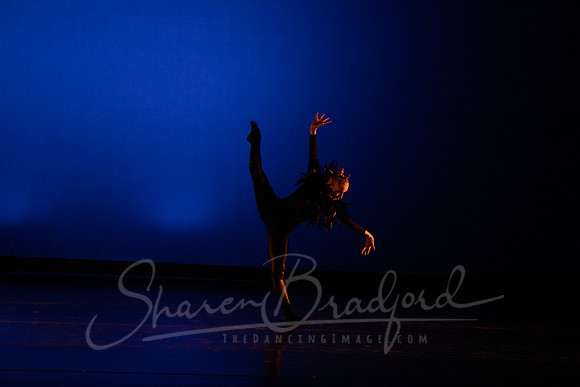 BMD Blood Diamond pc Sharen Bradford-1750