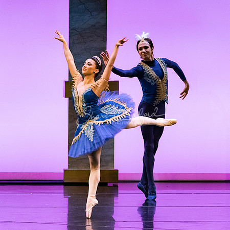 Ballet NTX Sleeping Beauty pc Sharen Bradford-1824