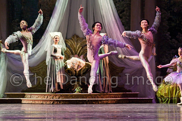 TB Sleeping Beauty Wed.-0089