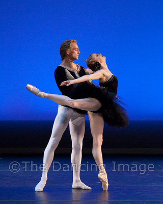 Black Swan-1117